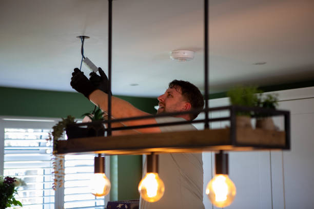 Best Generator Installation Services  in Manchester, MI