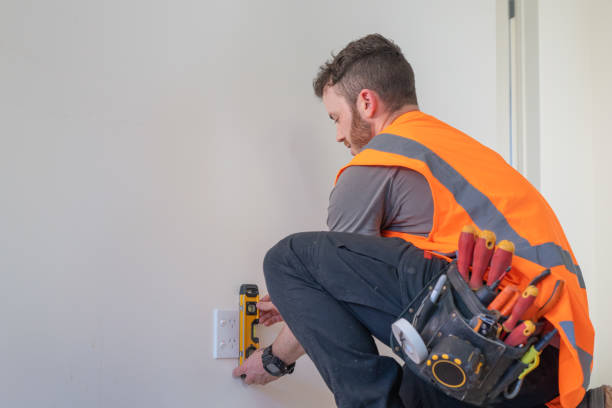 Best Electric Panel Repair  in Manchester, MI