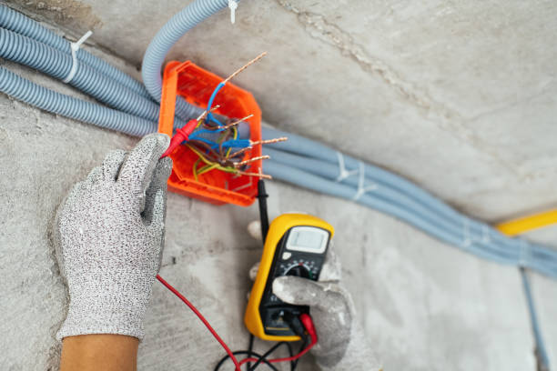 Best Electrician Near Me  in Manchester, MI